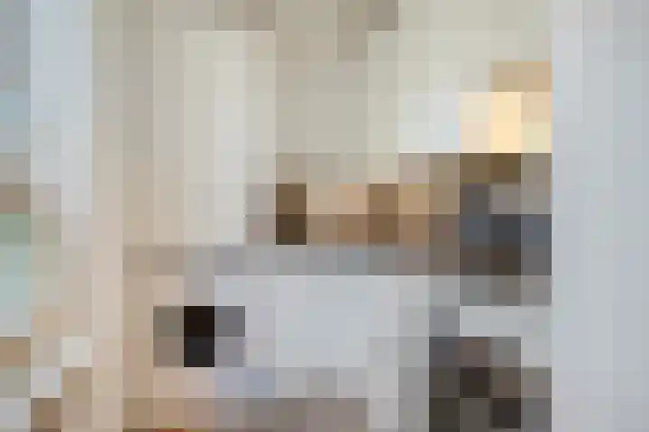 Nieuwe-Hoofdhof 44 Amsterdam thumbnail 9