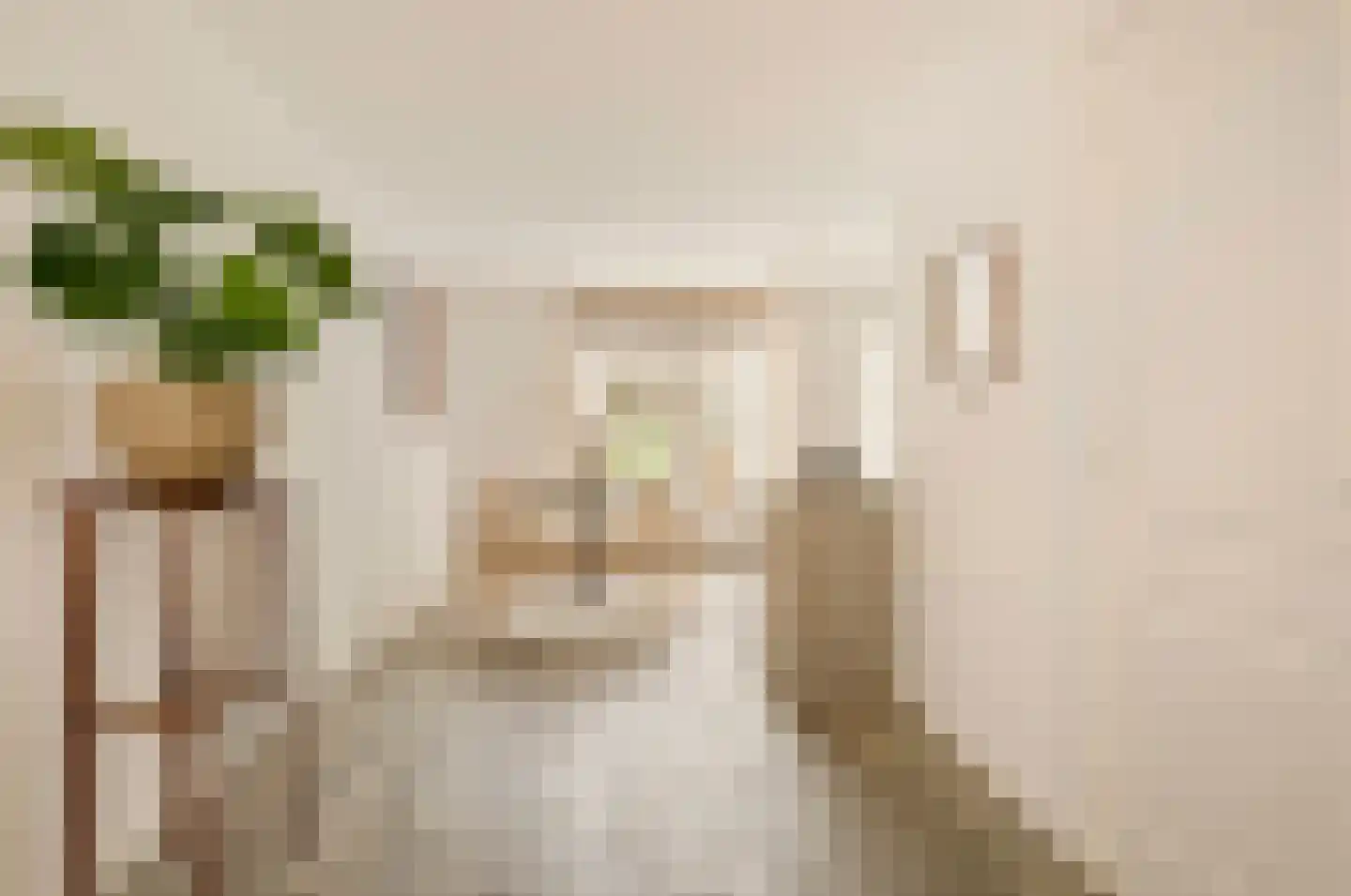 Nieuwe Hoogstraat 15 B Amsterdam thumbnail 11