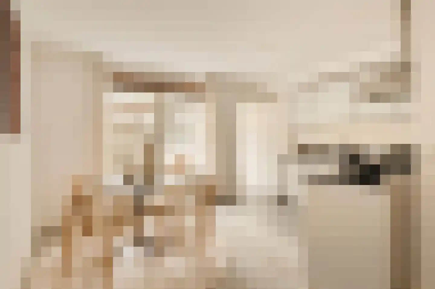 Nieuwe Hoogstraat 15 B Amsterdam thumbnail 12