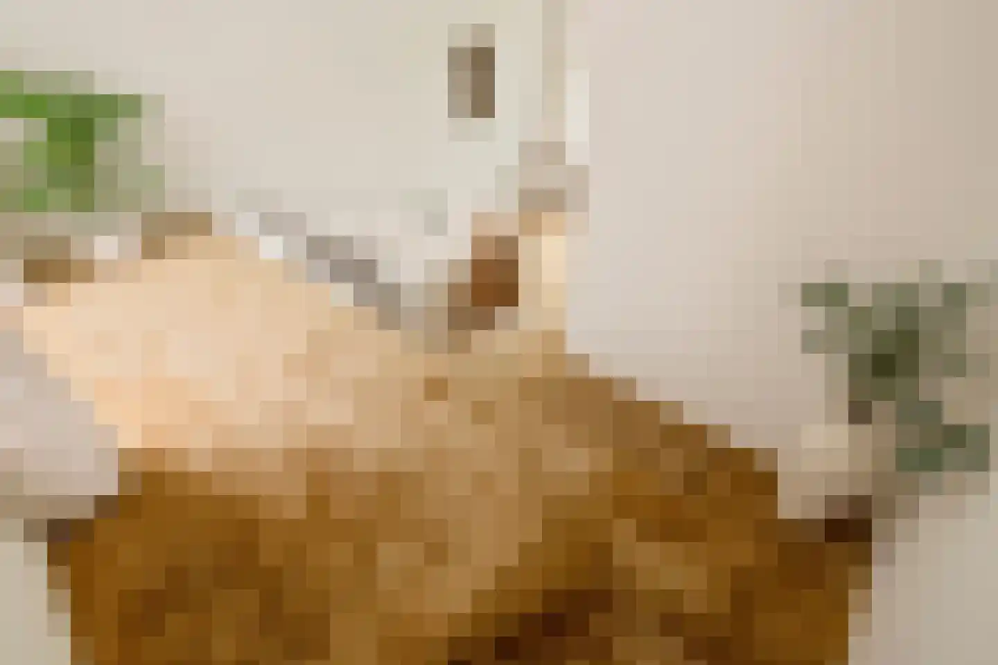 Nieuwe Hoogstraat 15 B Amsterdam thumbnail 16