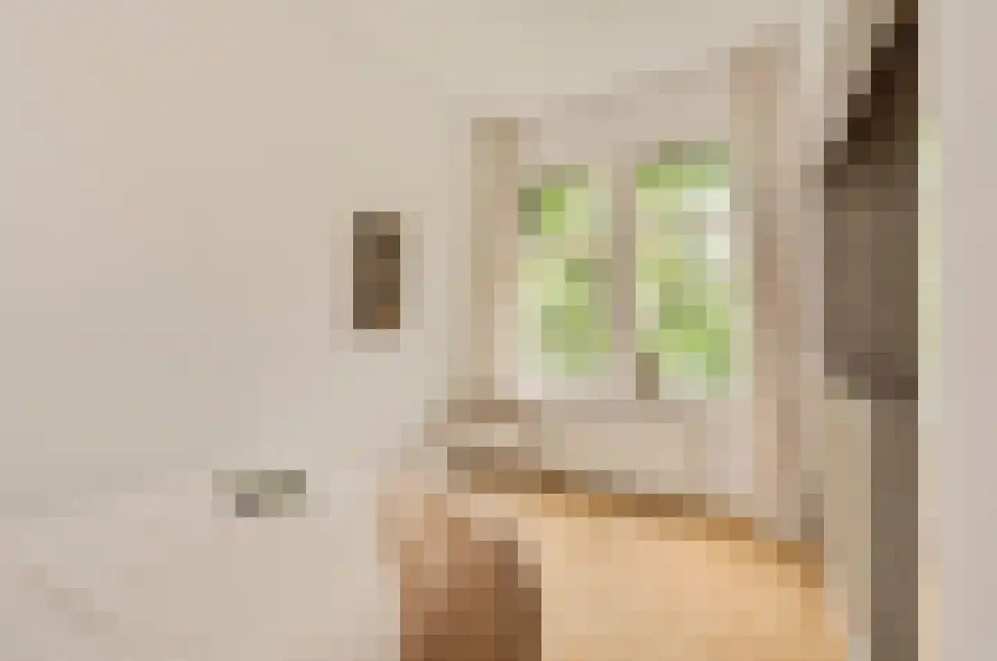 Nieuwe Hoogstraat 15 B Amsterdam thumbnail 17