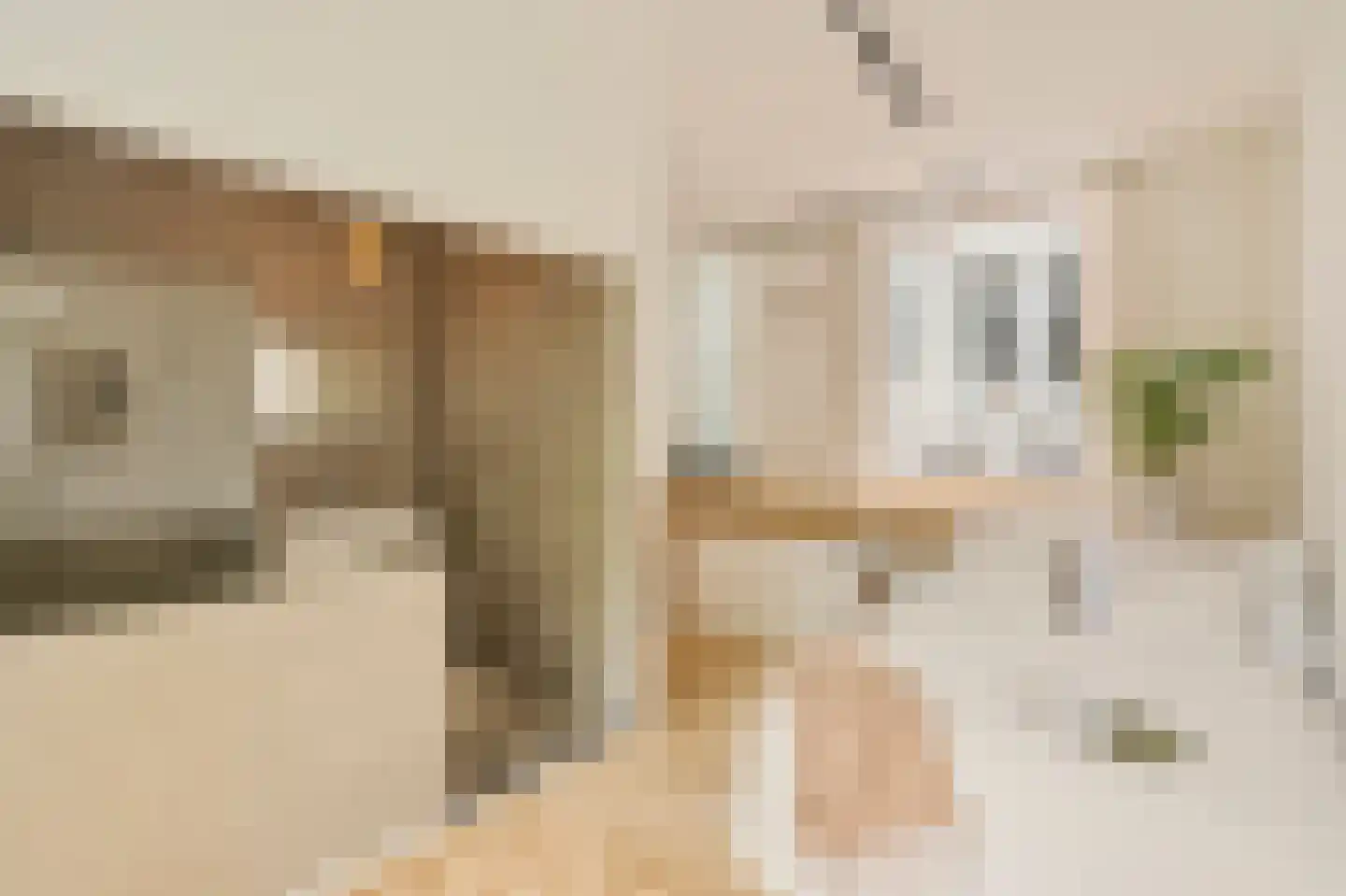 Nieuwe Hoogstraat 15 B Amsterdam thumbnail 18