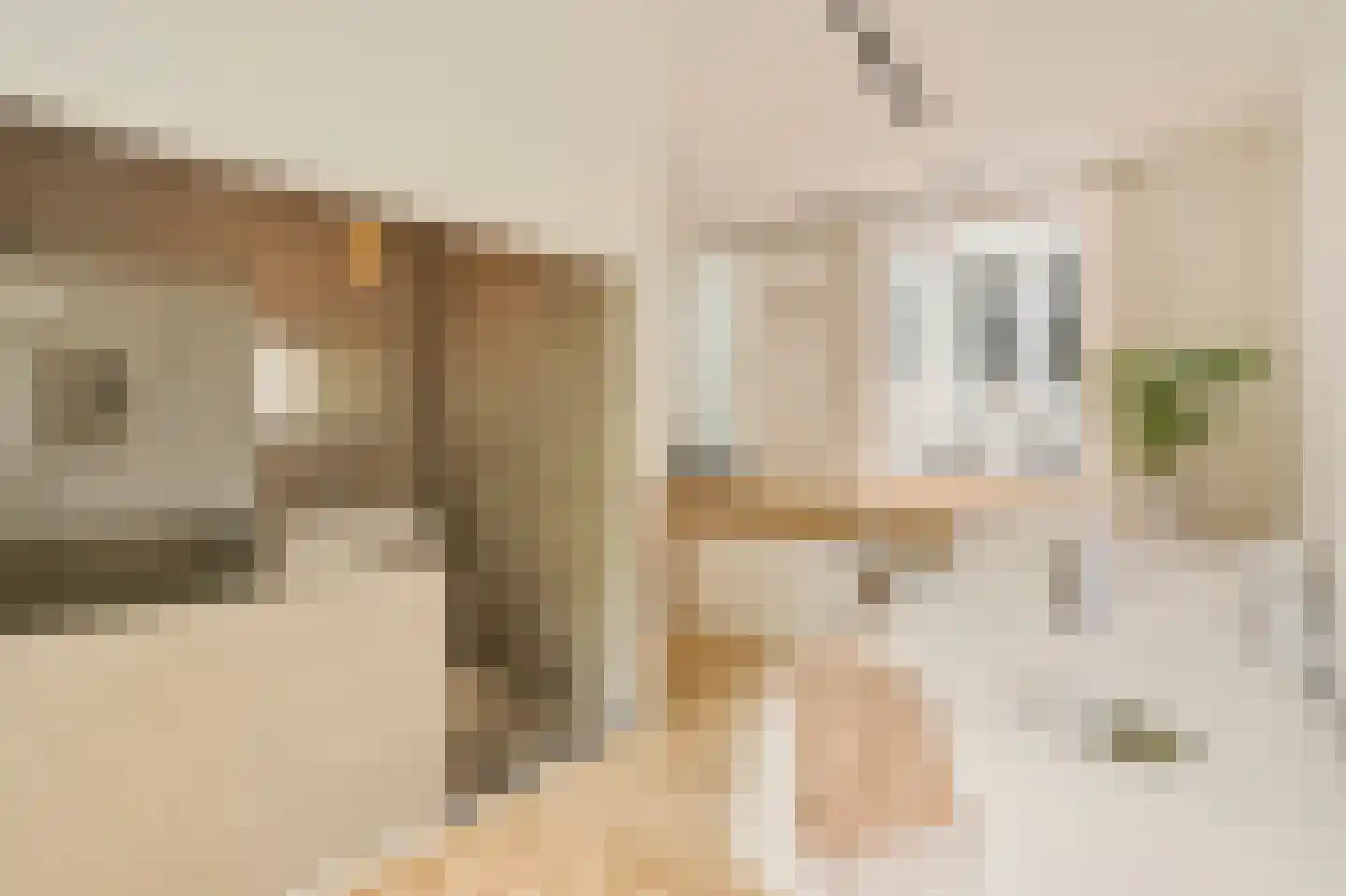Nieuwe Hoogstraat 15 B Amsterdam thumbnail 18