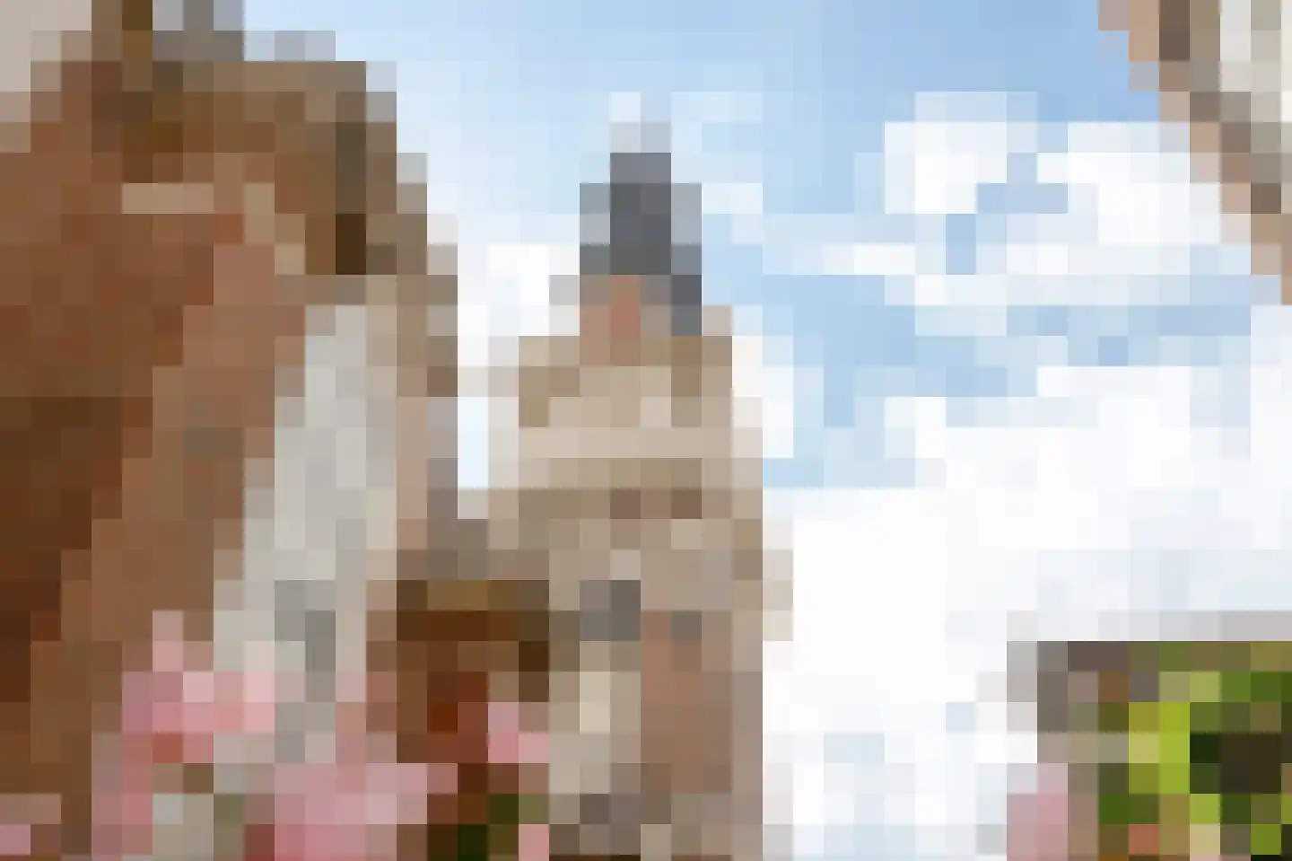 Nieuwe Hoogstraat 15 B Amsterdam thumbnail 29