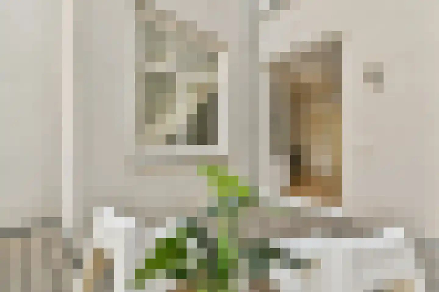 Nieuwe Hoogstraat 33 B Amsterdam thumbnail 14