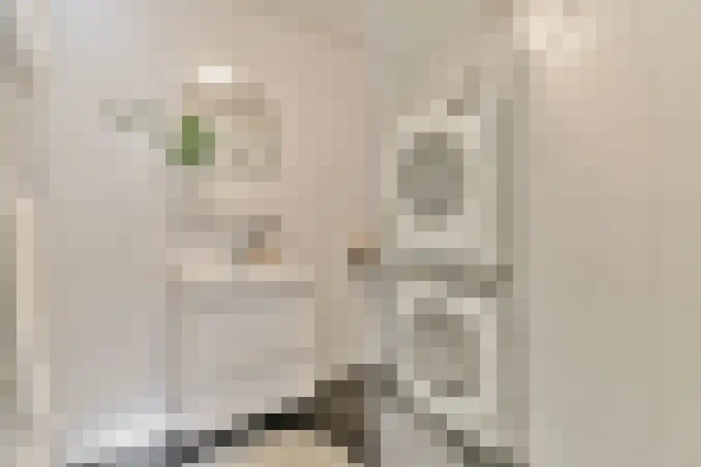 Nieuwe Hoogstraat 33 B Amsterdam thumbnail 23