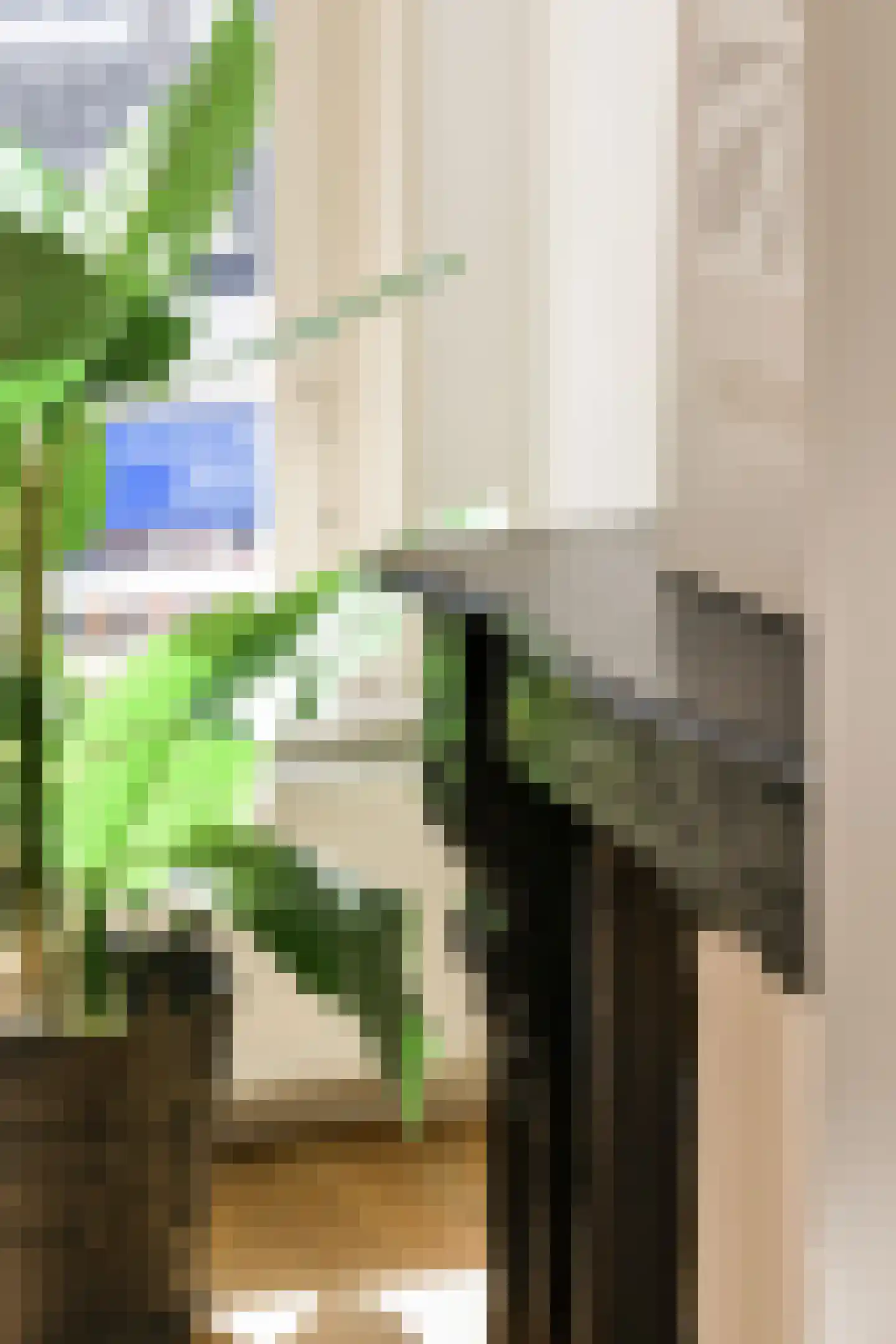 Nieuwe Hoogstraat 33 B Amsterdam thumbnail 5