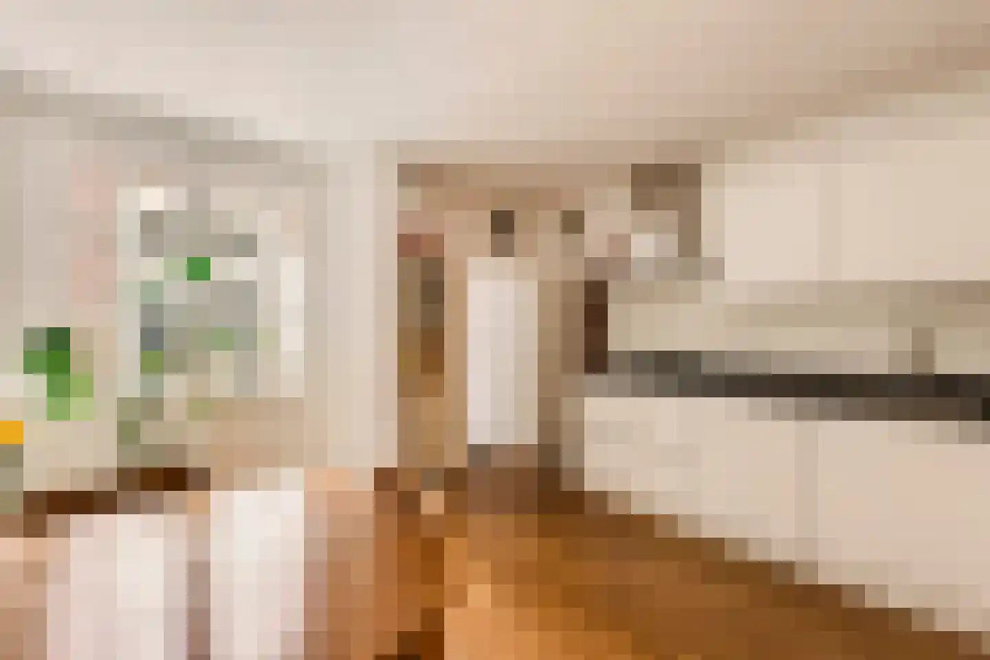 Nieuwe Houttuinen 111 Amsterdam thumbnail 12