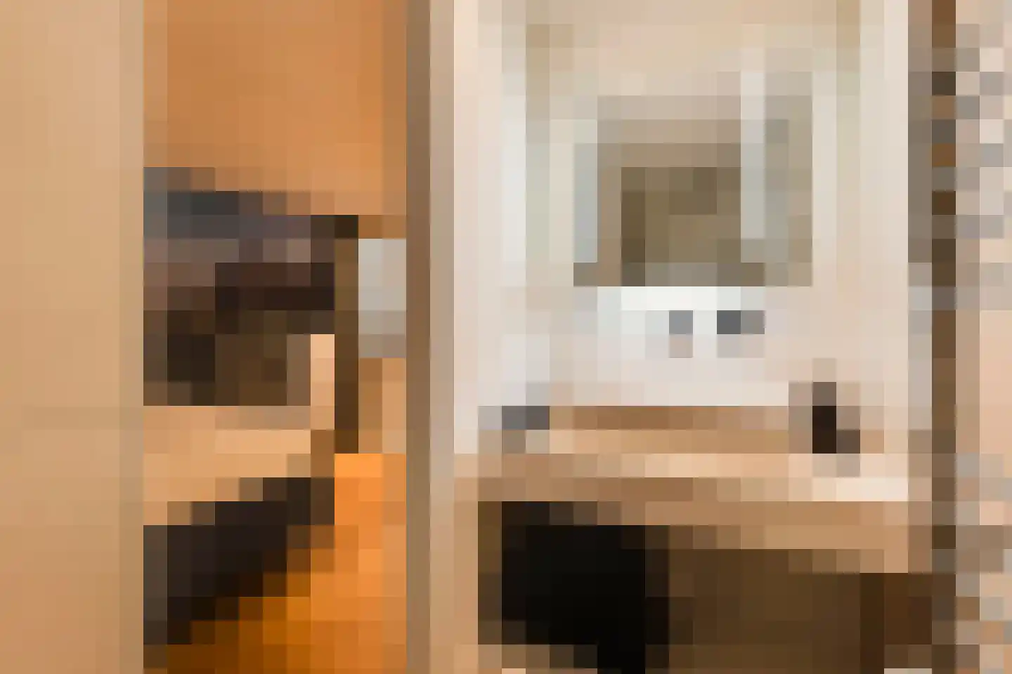 Nieuwe Houttuinen 111 Amsterdam thumbnail 18