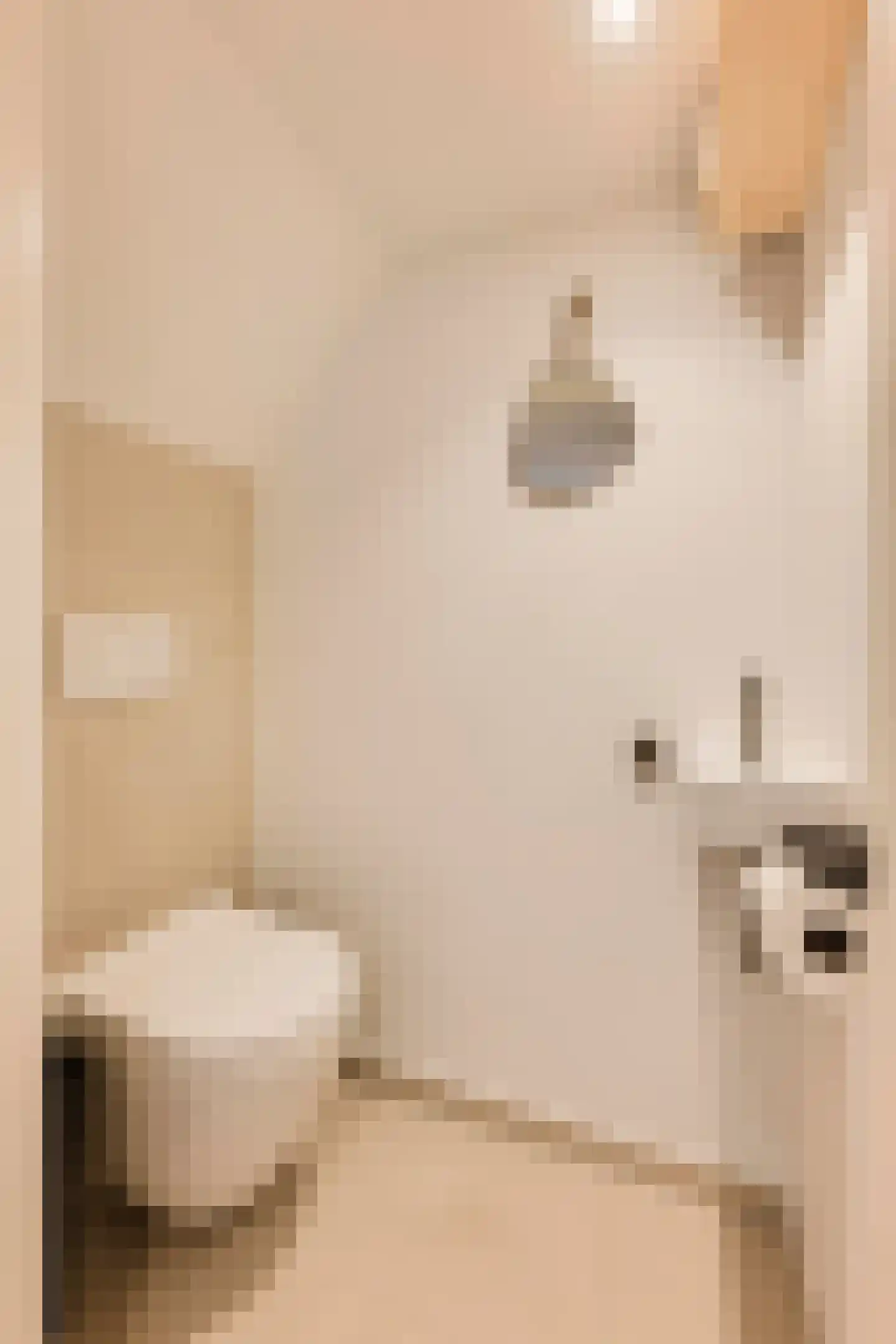 Nieuwe Houttuinen 111 Amsterdam thumbnail 21