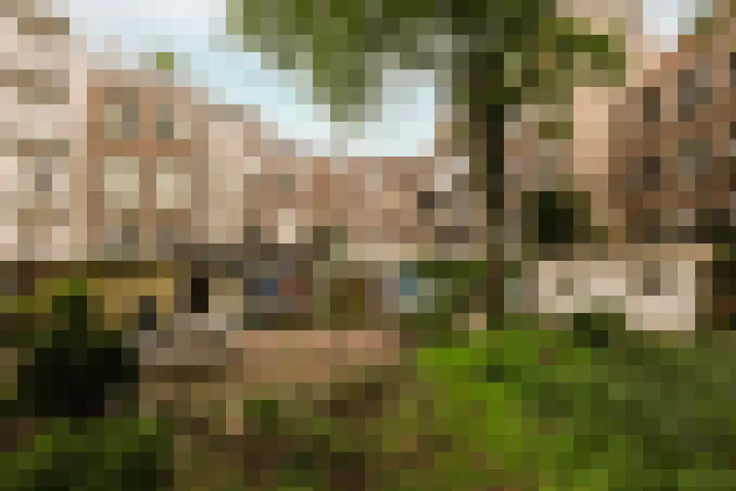 Nieuwe Houttuinen 111 Amsterdam thumbnail 26