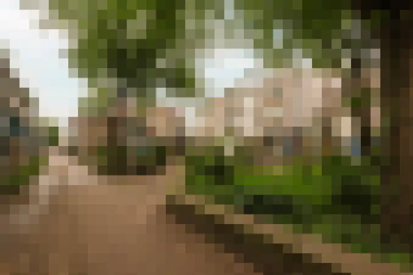 Nieuwe Houttuinen 111 Amsterdam thumbnail 28
