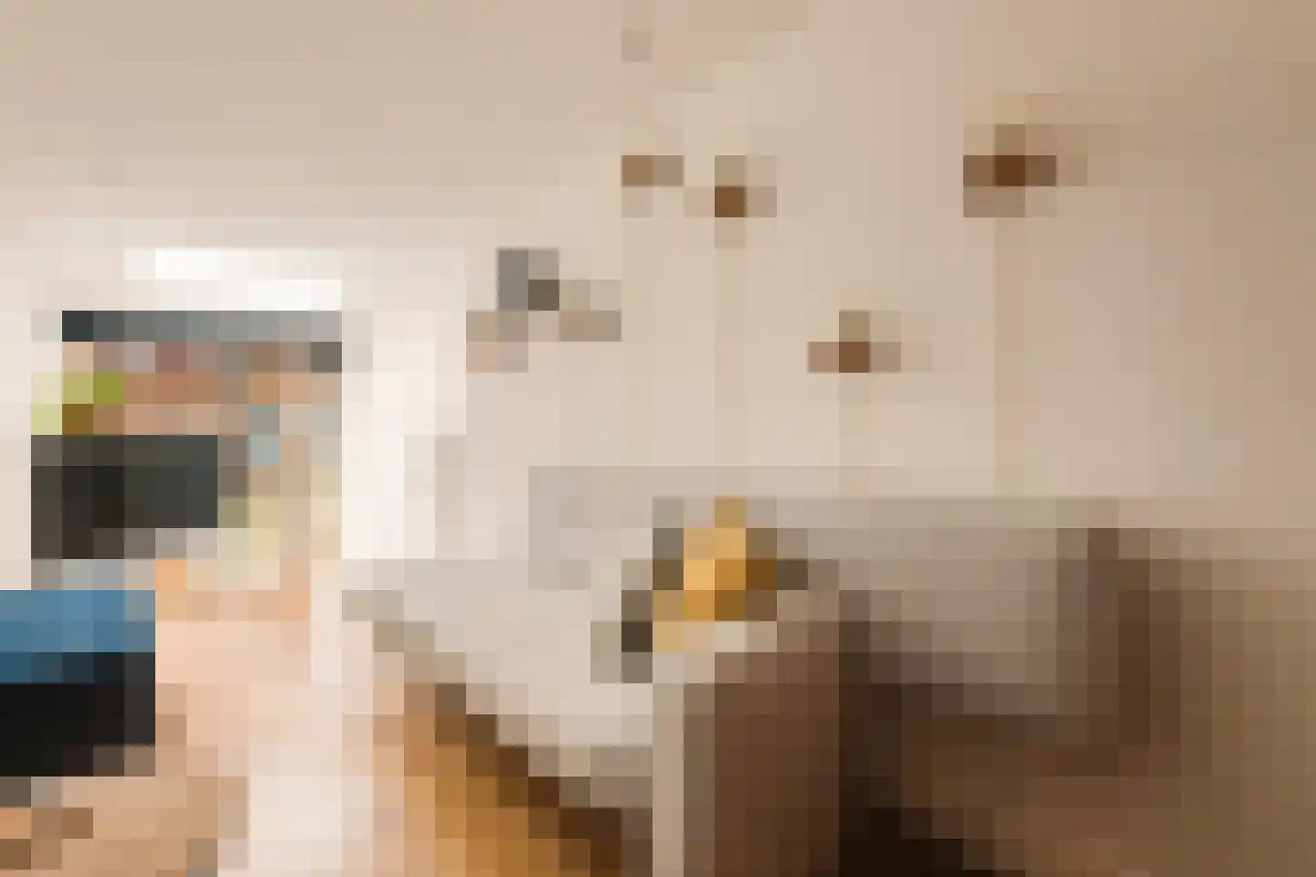 Nieuwe Houttuinen 111 Amsterdam thumbnail 5