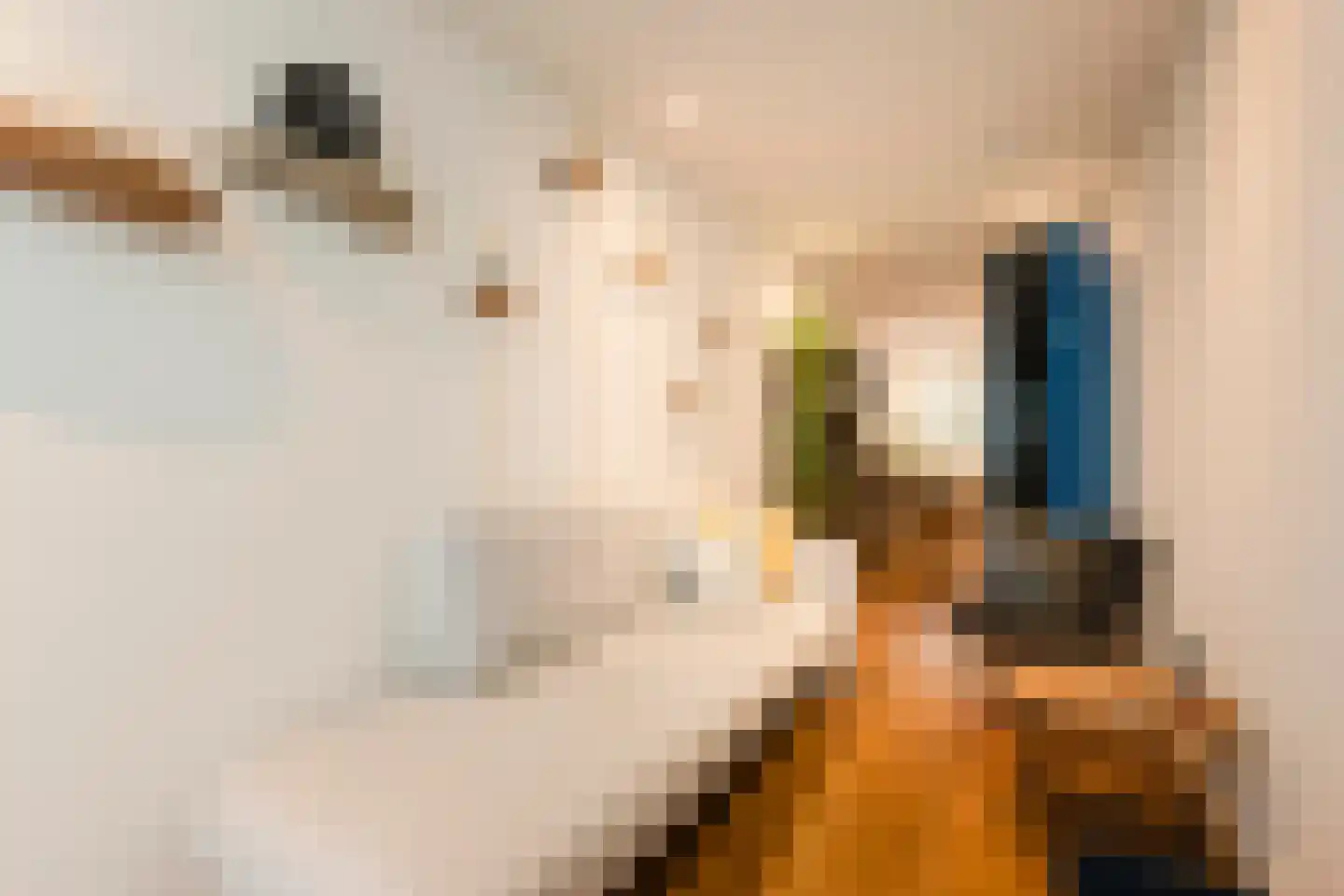 Nieuwe Houttuinen 111 Amsterdam thumbnail 7