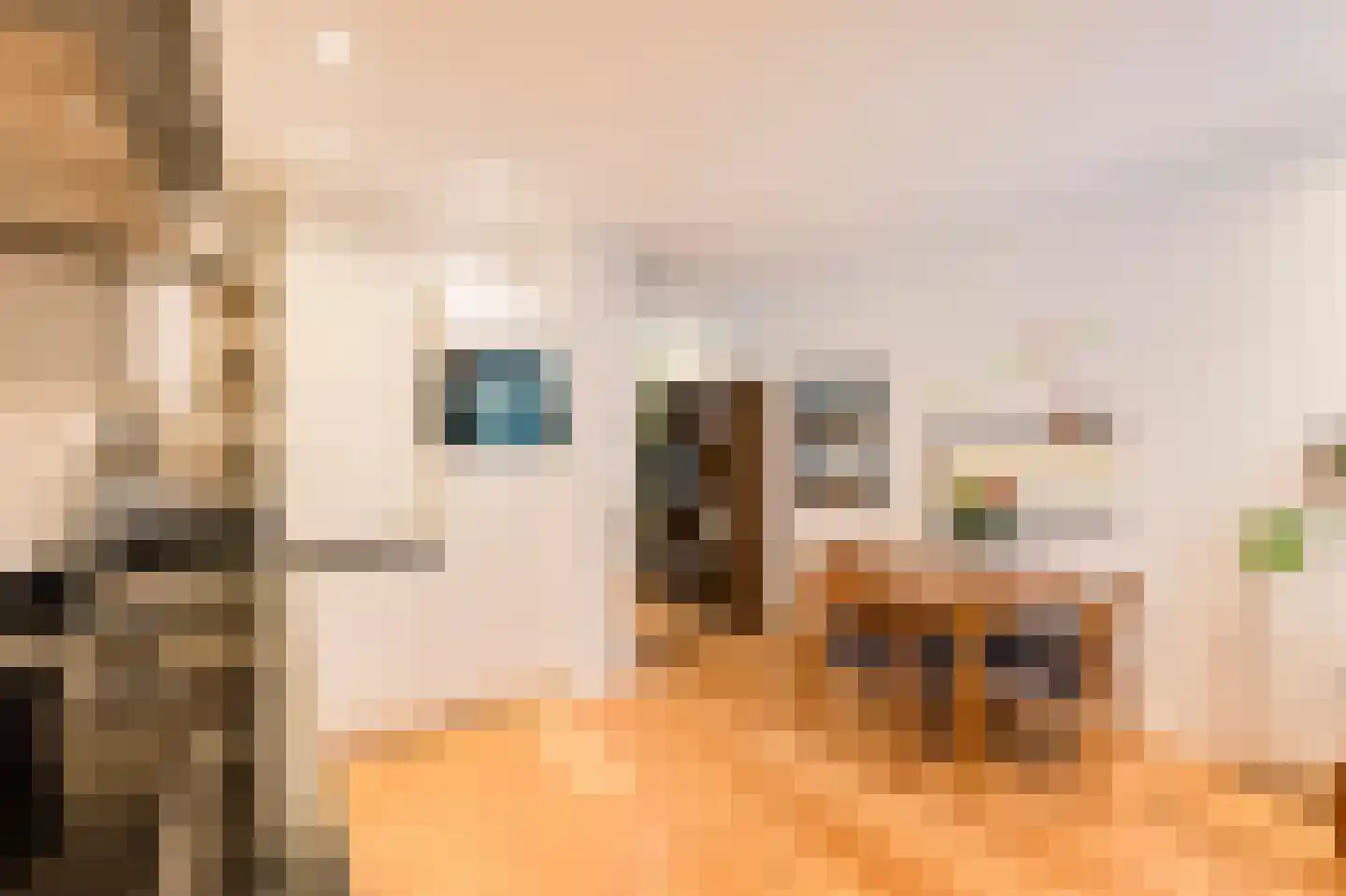 Nieuwe Houttuinen 111 Amsterdam thumbnail 9