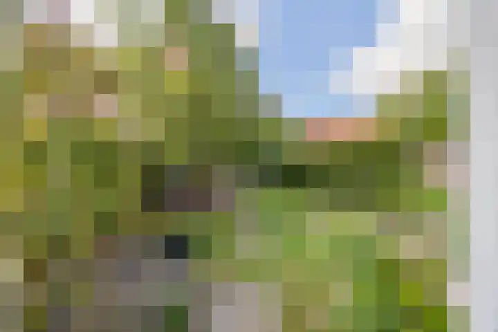 Nieuwe Hoven 103 Gorinchem thumbnail 13