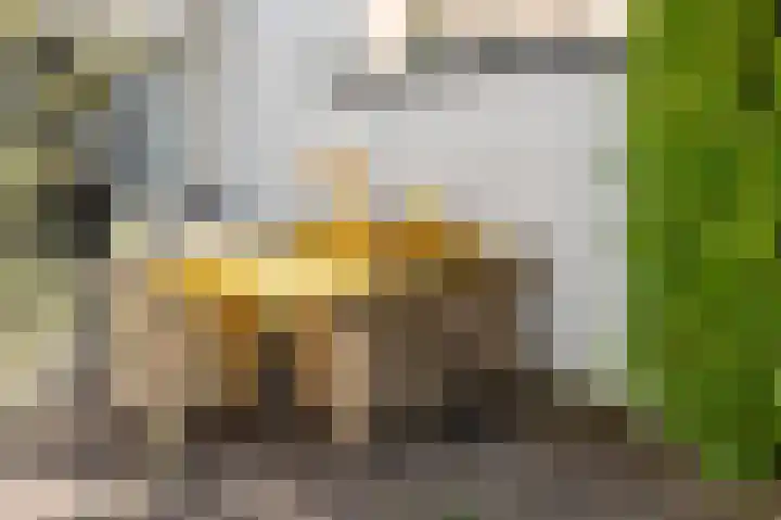 Nieuwe Hoven 103 Gorinchem thumbnail 16