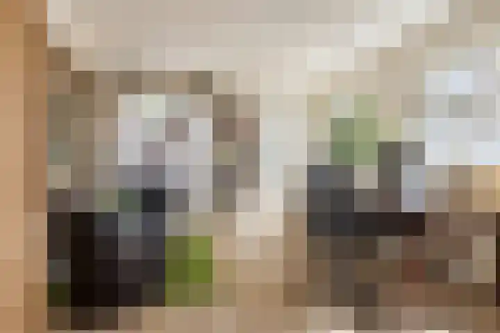 Nieuwe Hoven 103 Gorinchem thumbnail 19