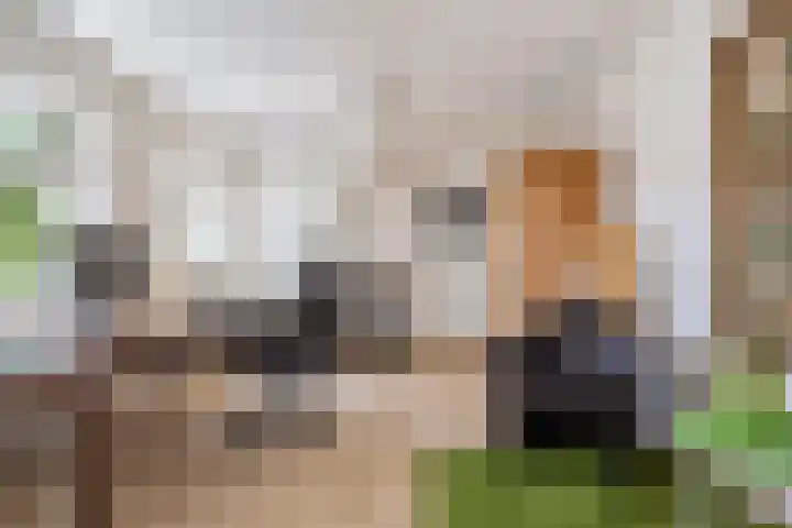 Nieuwe Hoven 103 Gorinchem thumbnail 20
