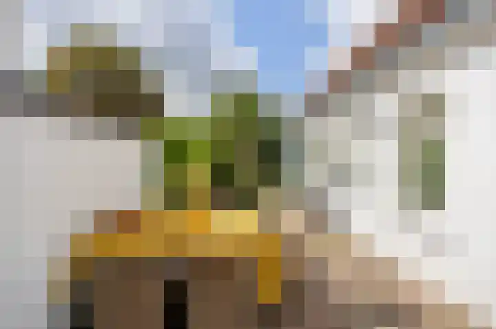 Nieuwe Hoven 103 Gorinchem thumbnail 4
