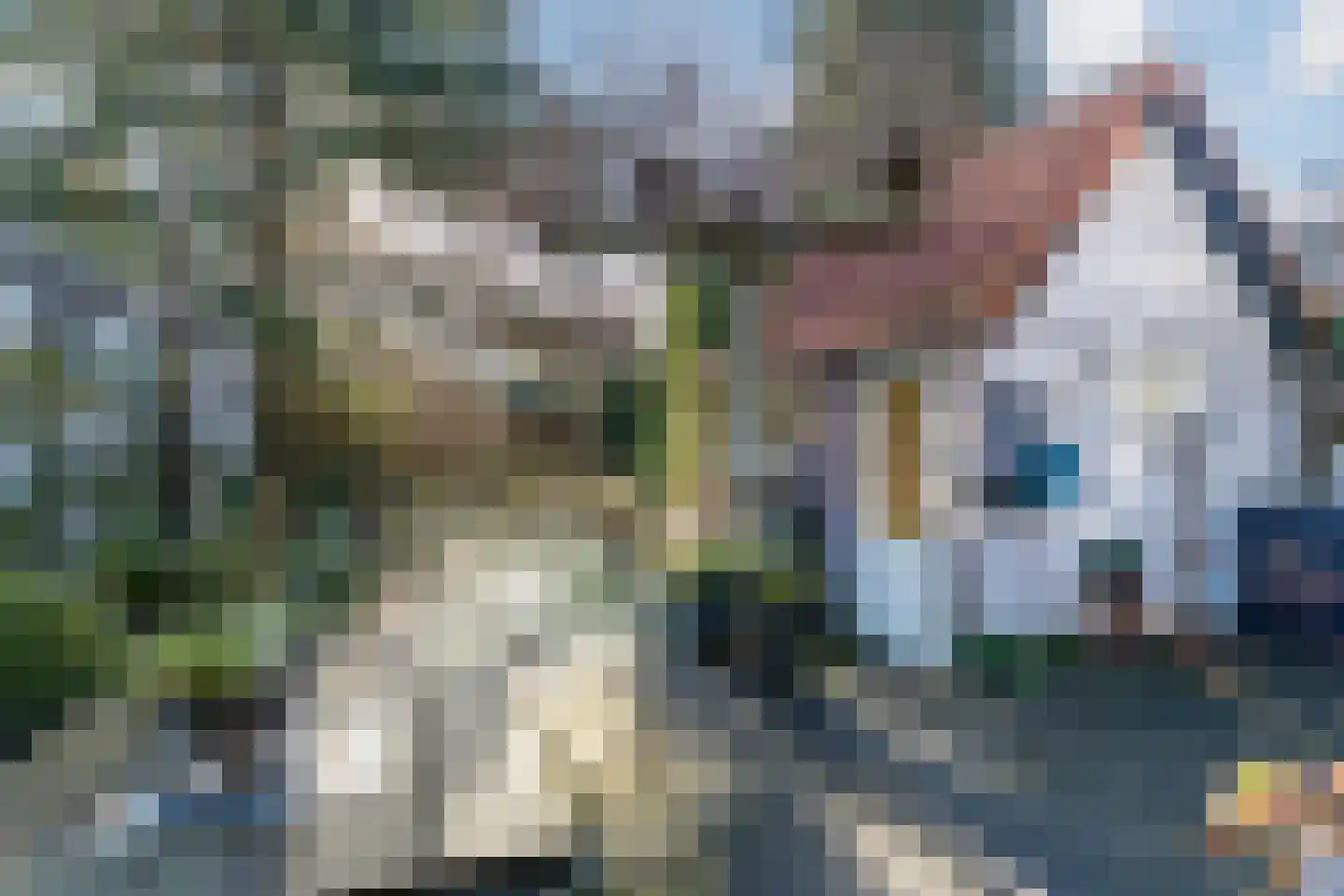 Nieuwe Hoven 127 Gorinchem thumbnail 20