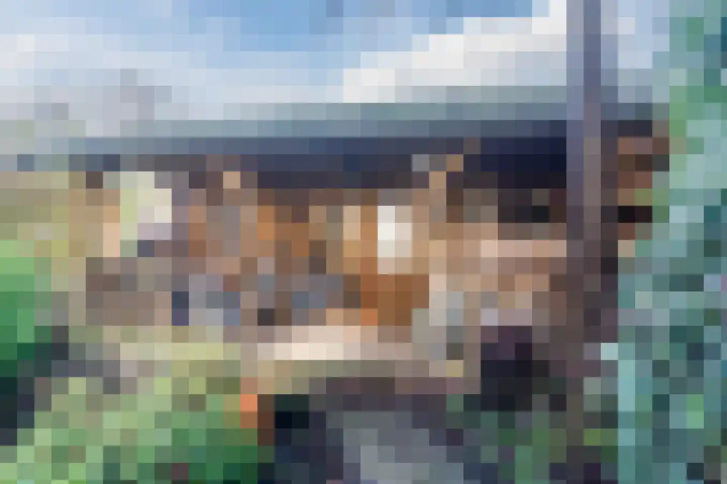 Nieuwe Hoven 127 Gorinchem thumbnail 21