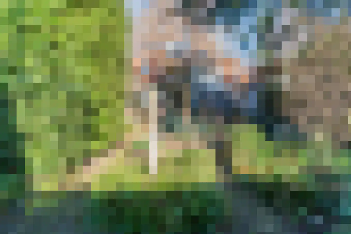 Nieuwe Hoven 127 Gorinchem thumbnail 22
