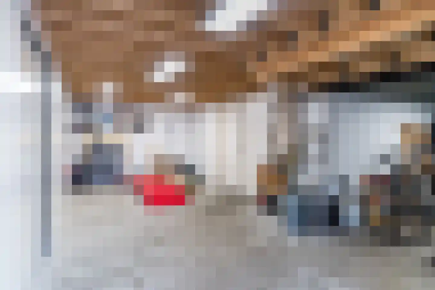 Nieuwe Hoven 24 Gorinchem thumbnail 28