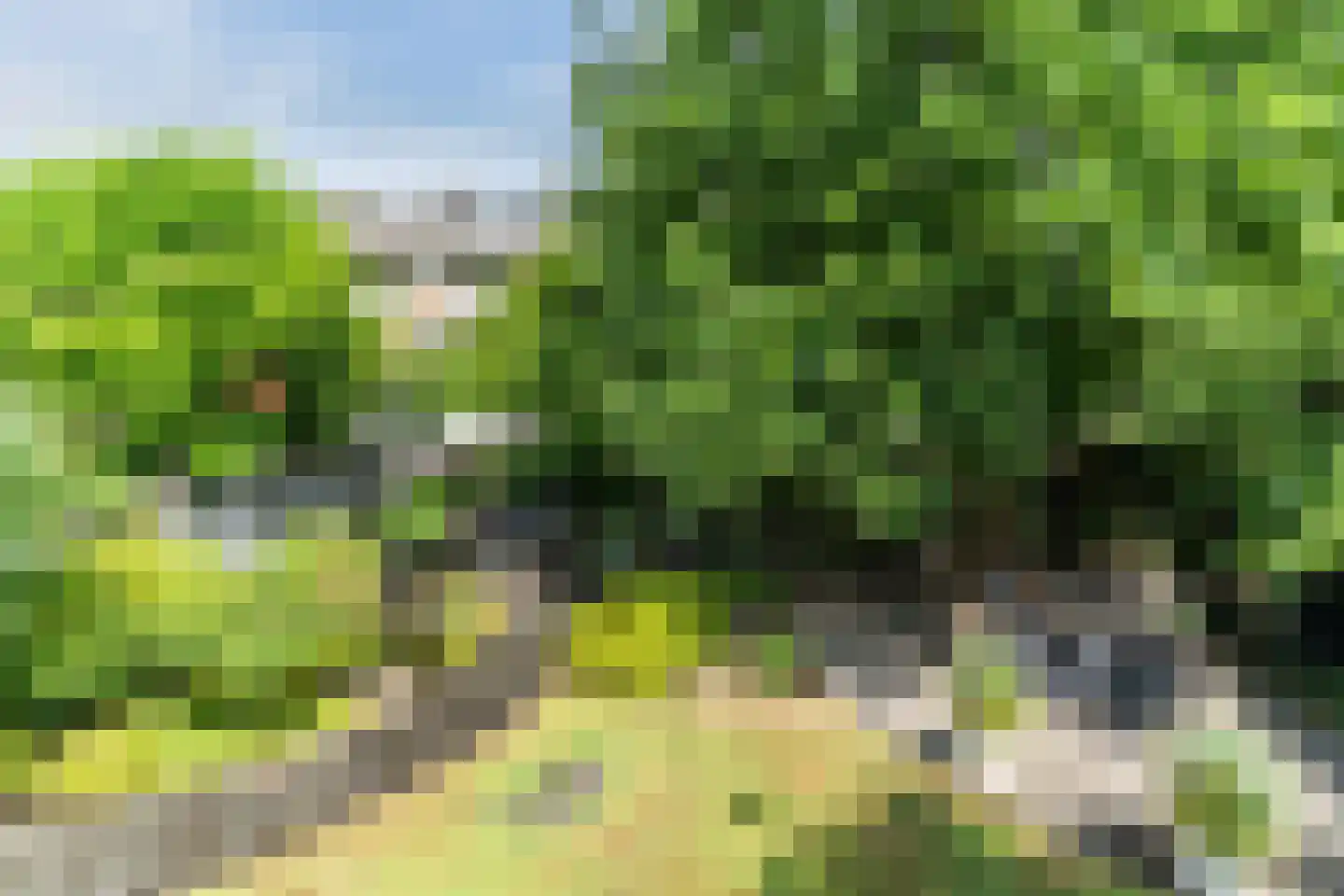Nieuwe Hoven 24 Gorinchem thumbnail 31