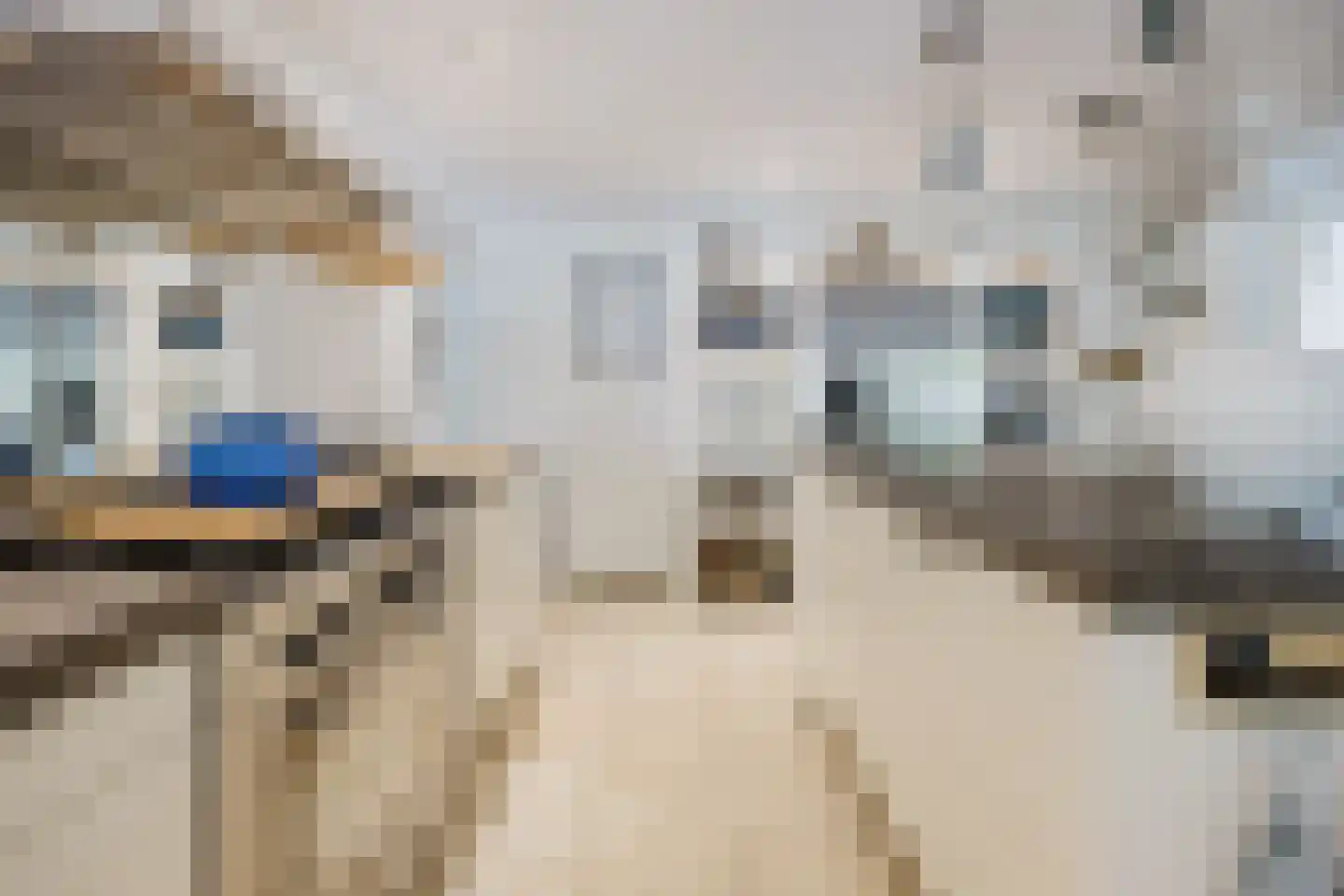 Nieuwe Hoven 26 Gorinchem thumbnail 10