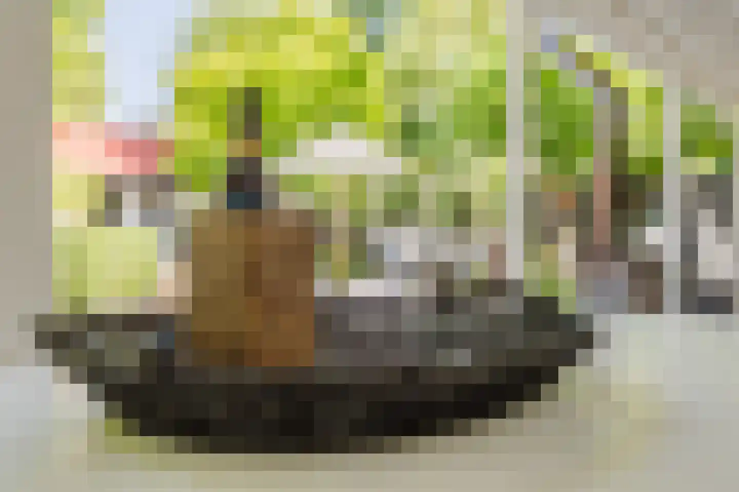 Nieuwe Hoven 26 Gorinchem thumbnail 14