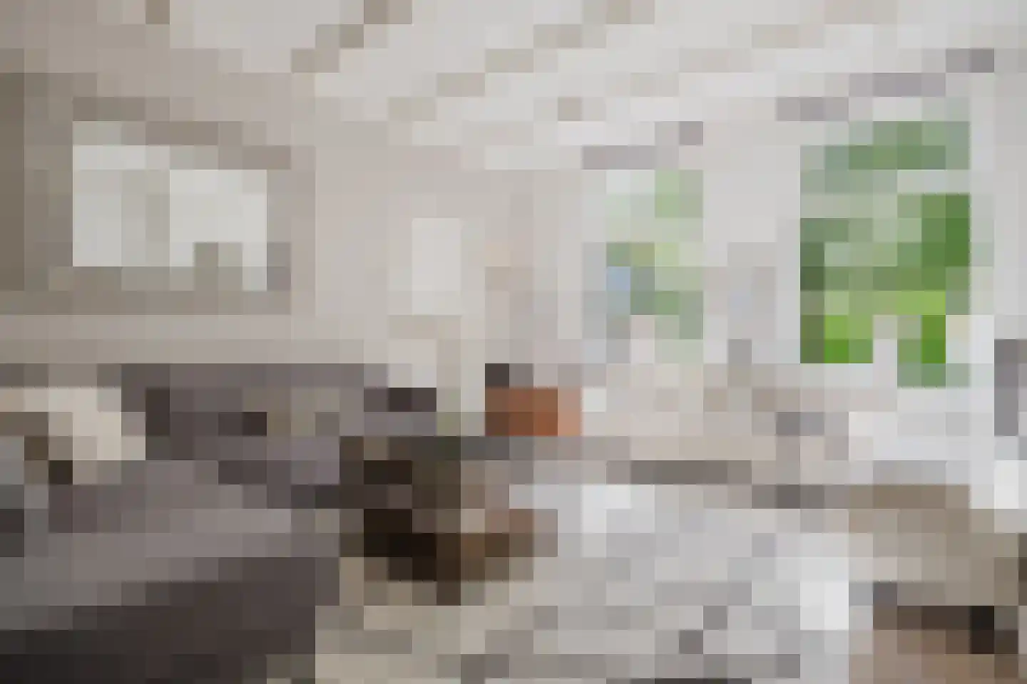 Nieuwe Hoven 26 Gorinchem thumbnail 6