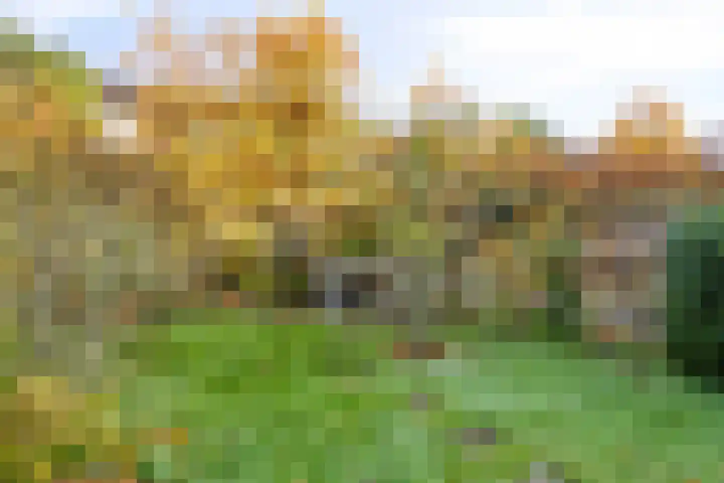 Nieuwe Hoven 48 Gorinchem thumbnail 27