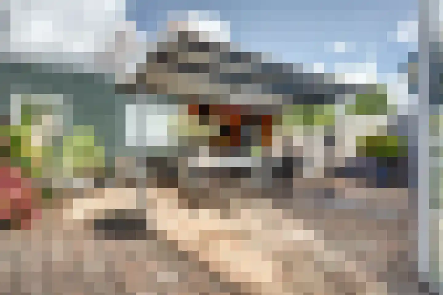 Nieuwe Hoven 50 Gorinchem thumbnail 30