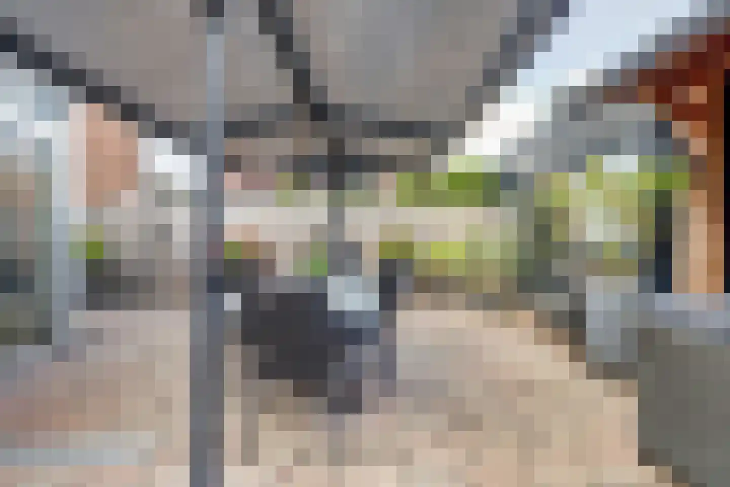 Nieuwe Hoven 50 Gorinchem thumbnail 31