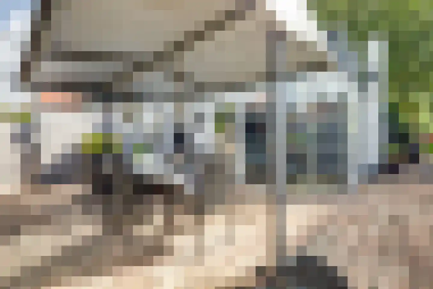 Nieuwe Hoven 50 Gorinchem thumbnail 33