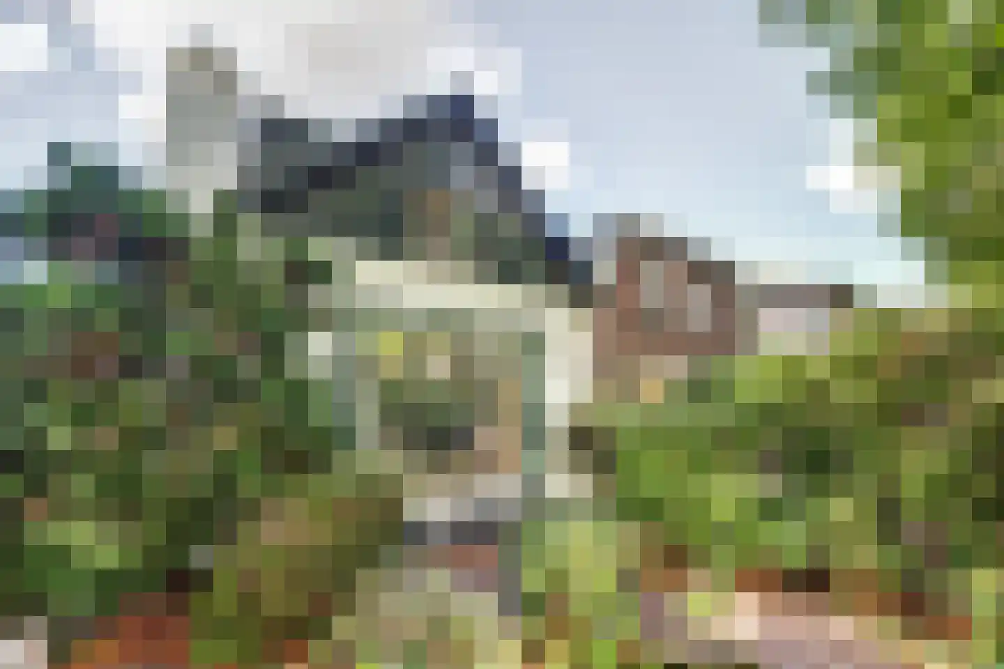 Nieuwe Hoven 50 Gorinchem thumbnail 38