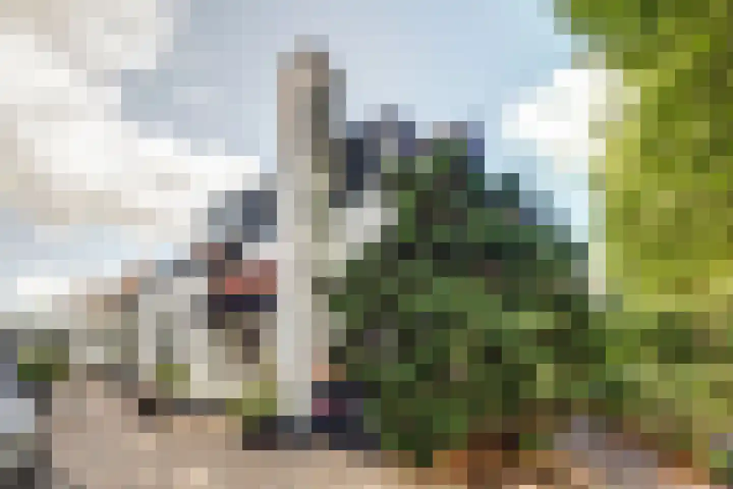 Nieuwe Hoven 50 Gorinchem thumbnail 40