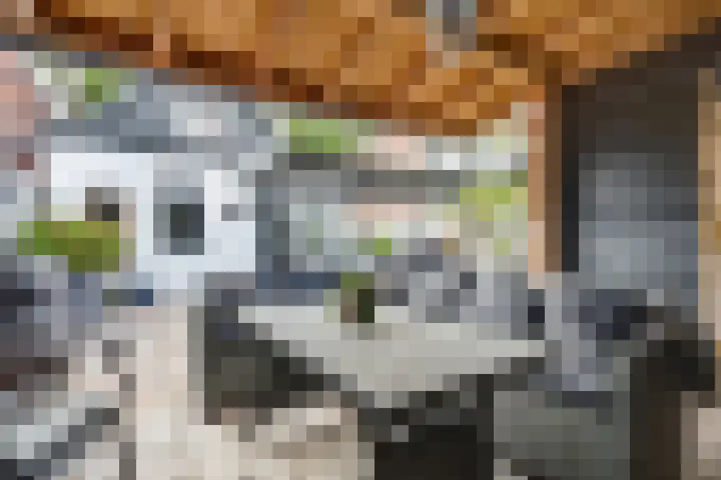 Nieuwe Hoven 50 Gorinchem thumbnail 5