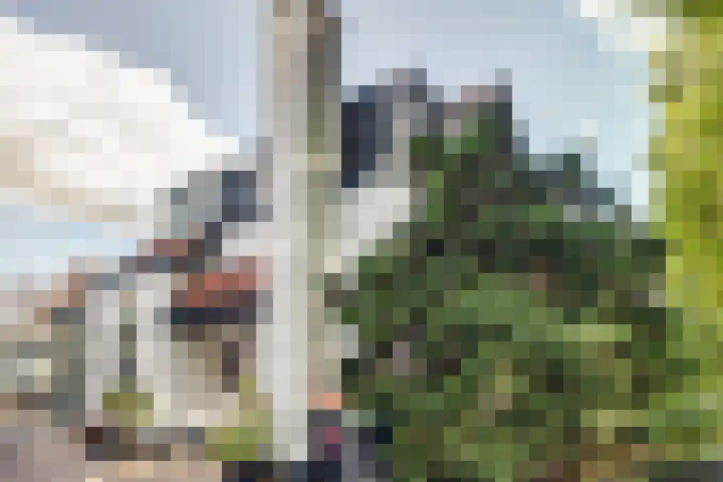Nieuwe Hoven 50 Gorinchem thumbnail 6