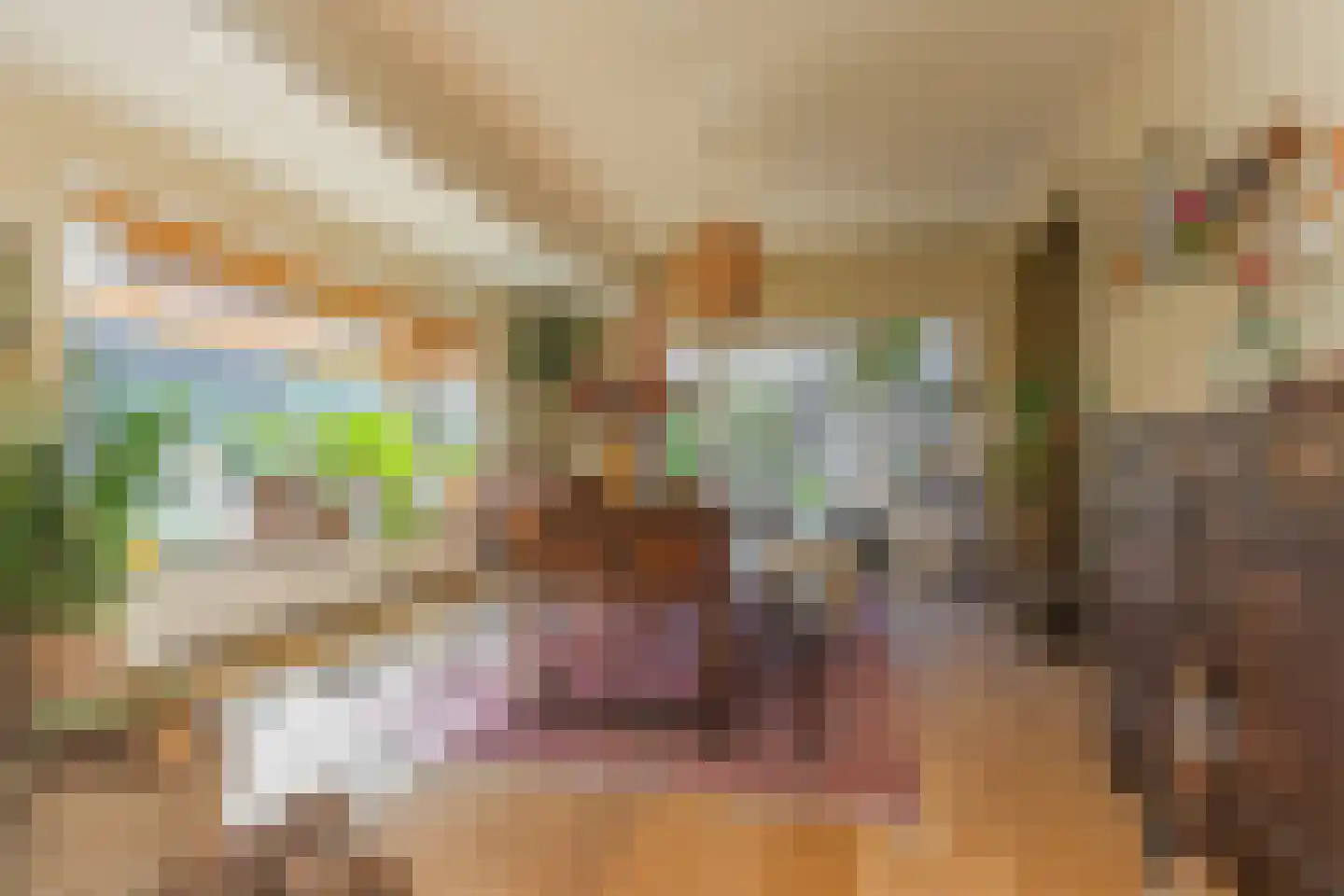 Nieuwe Hoven 71 Gorinchem thumbnail 16