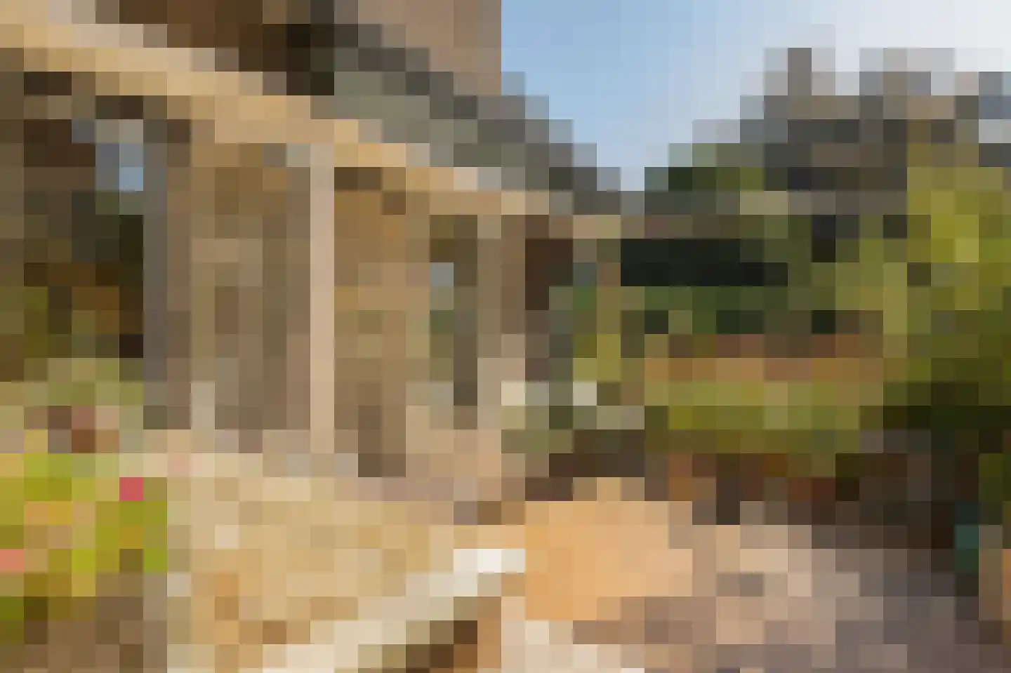 Nieuwe Hoven 71 Gorinchem thumbnail 18