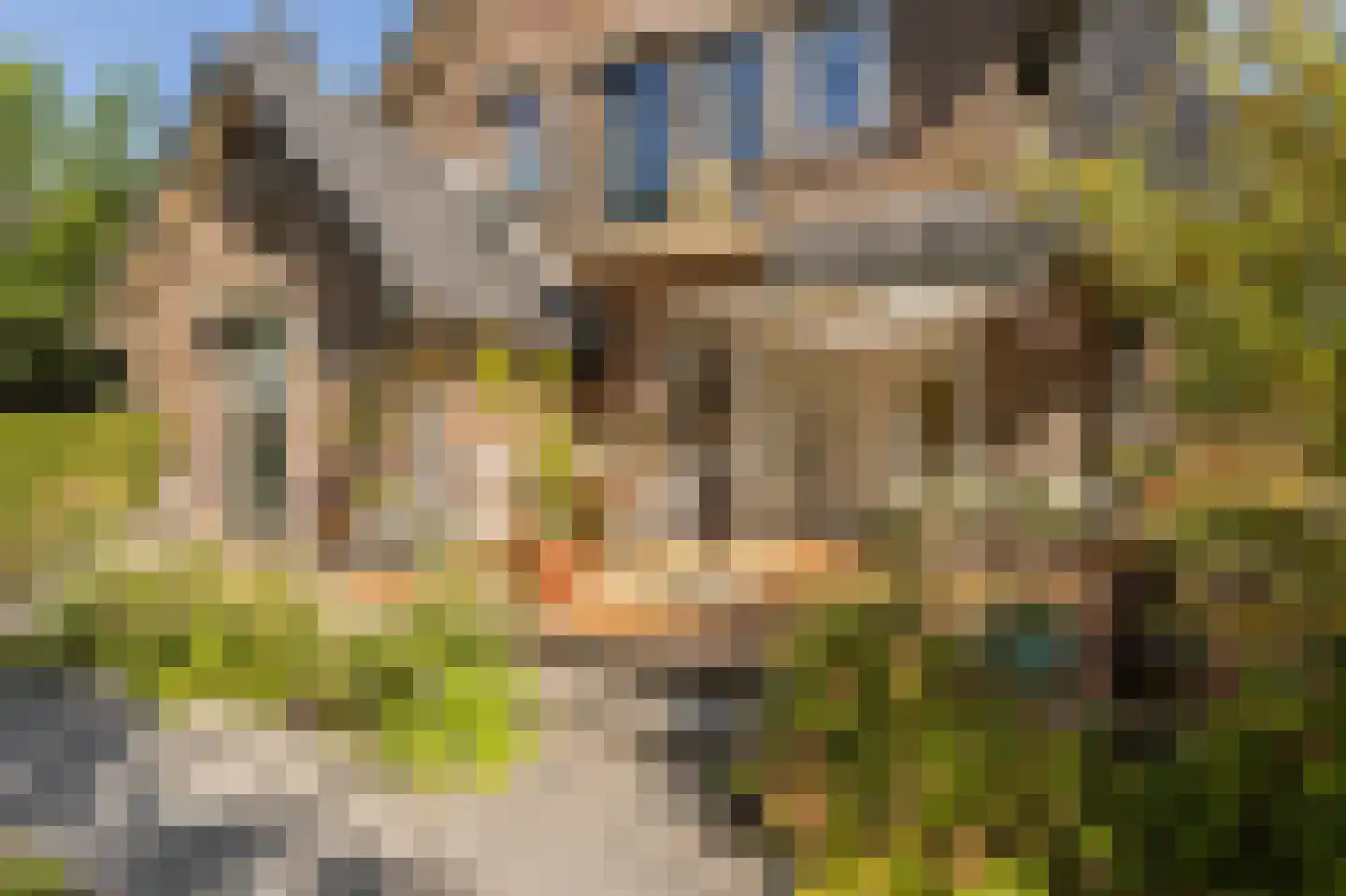 Nieuwe Hoven 71 Gorinchem thumbnail 19