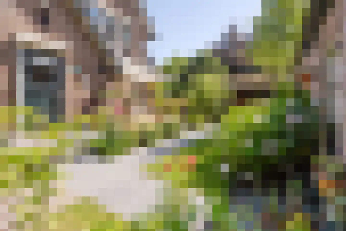 Nieuwe Hoven 71 Gorinchem thumbnail 21