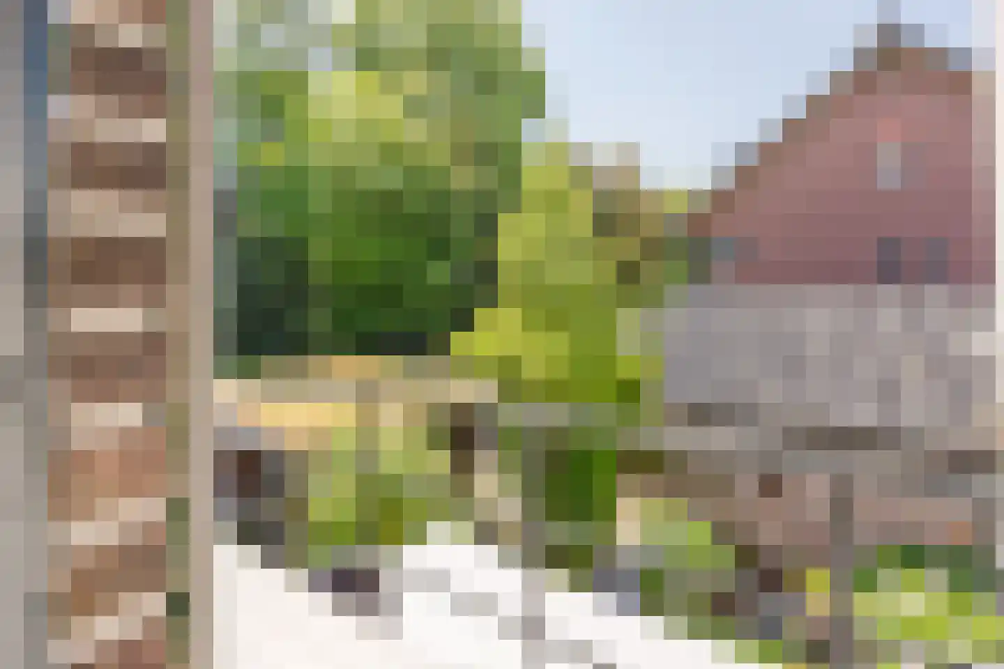 Nieuwe Hoven 71 Gorinchem thumbnail 39