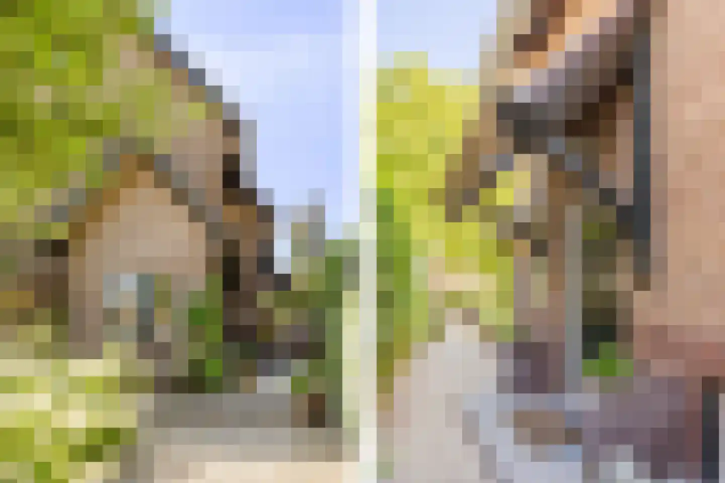 Nieuwe Hoven 71 Gorinchem thumbnail 7