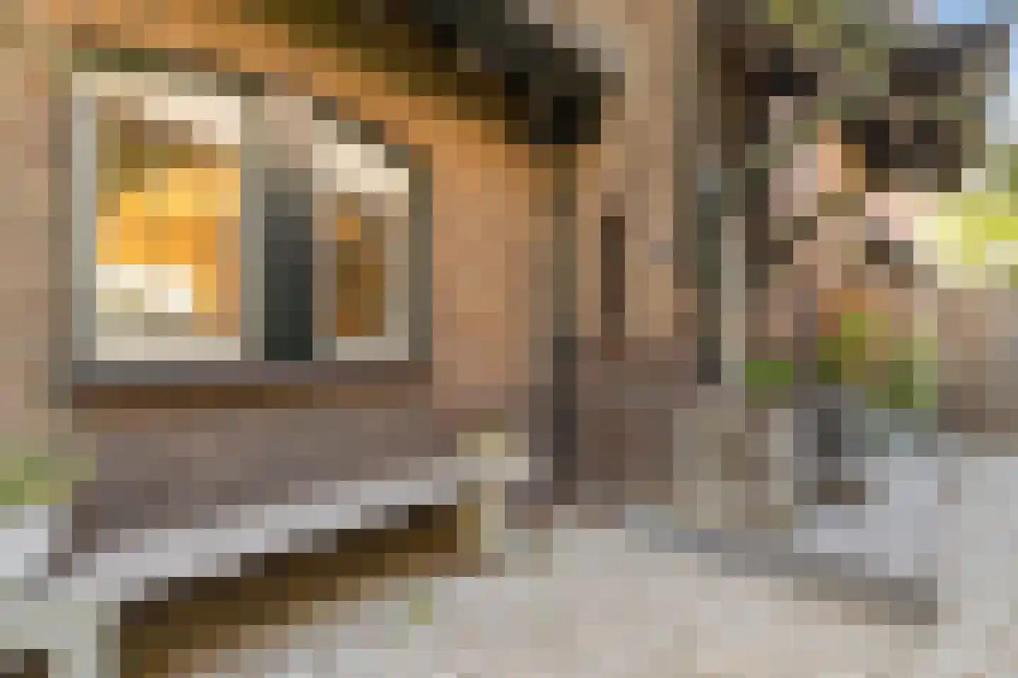 Nieuwe Hoven 71 Gorinchem thumbnail 8