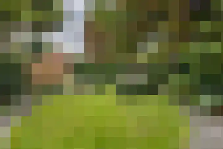 Nieuwe Hoven 73 Gorinchem thumbnail 11