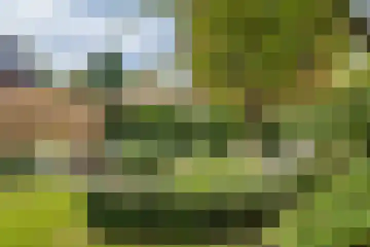 Nieuwe Hoven 73 Gorinchem thumbnail 13