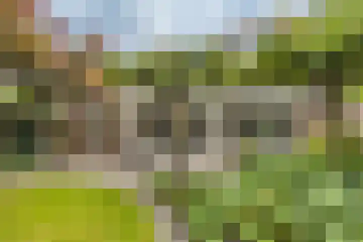 Nieuwe Hoven 73 Gorinchem thumbnail 4